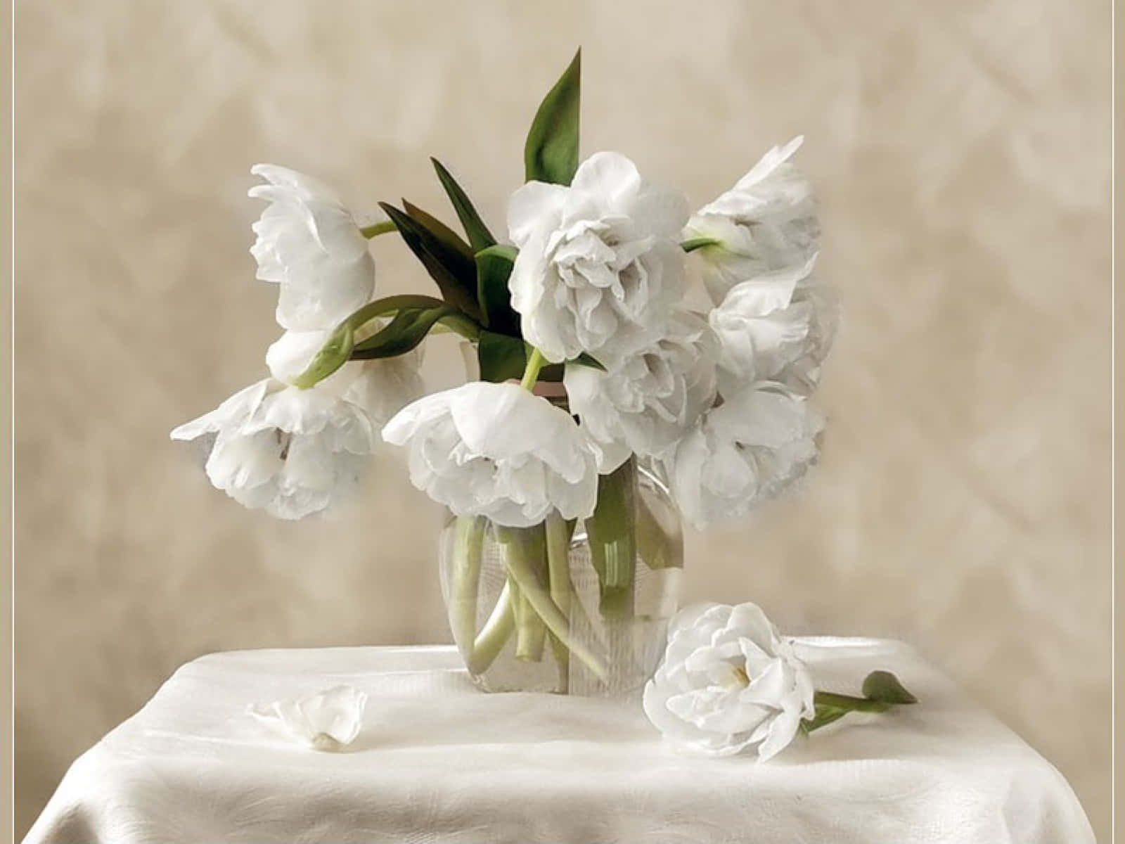 Modest And Elegant Flower Arrangement Wallpaper