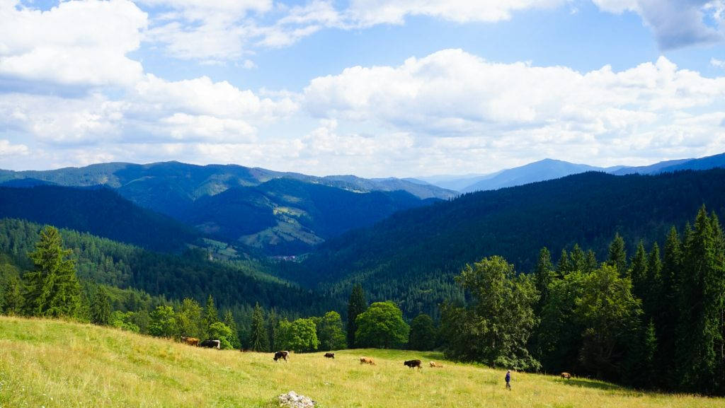 Moldovița Mountains Romania Wallpaper