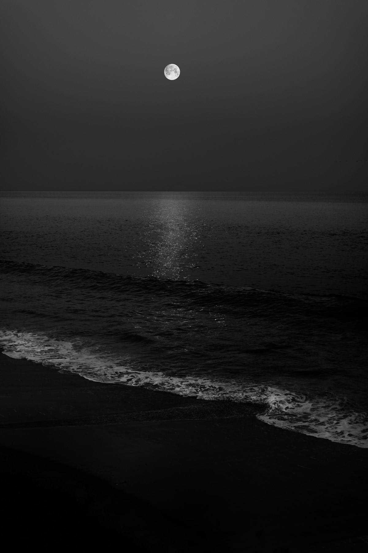 Monochromatic Beach Night Sky Wallpaper