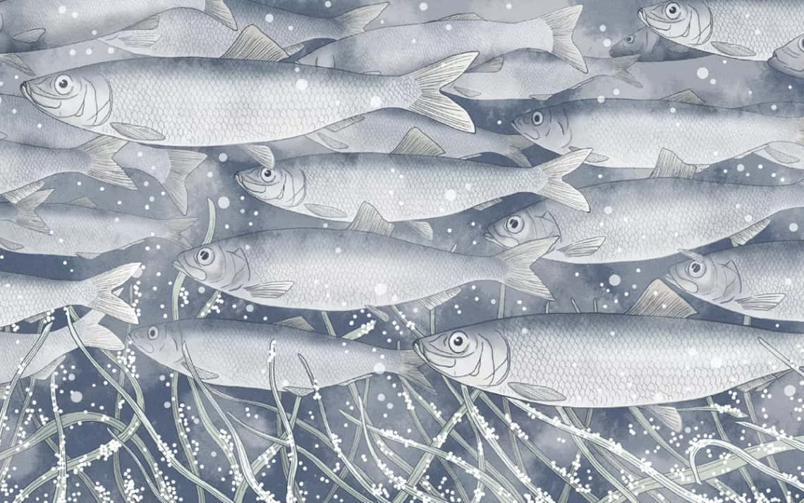 Monochromatic Herring School Art Wallpaper