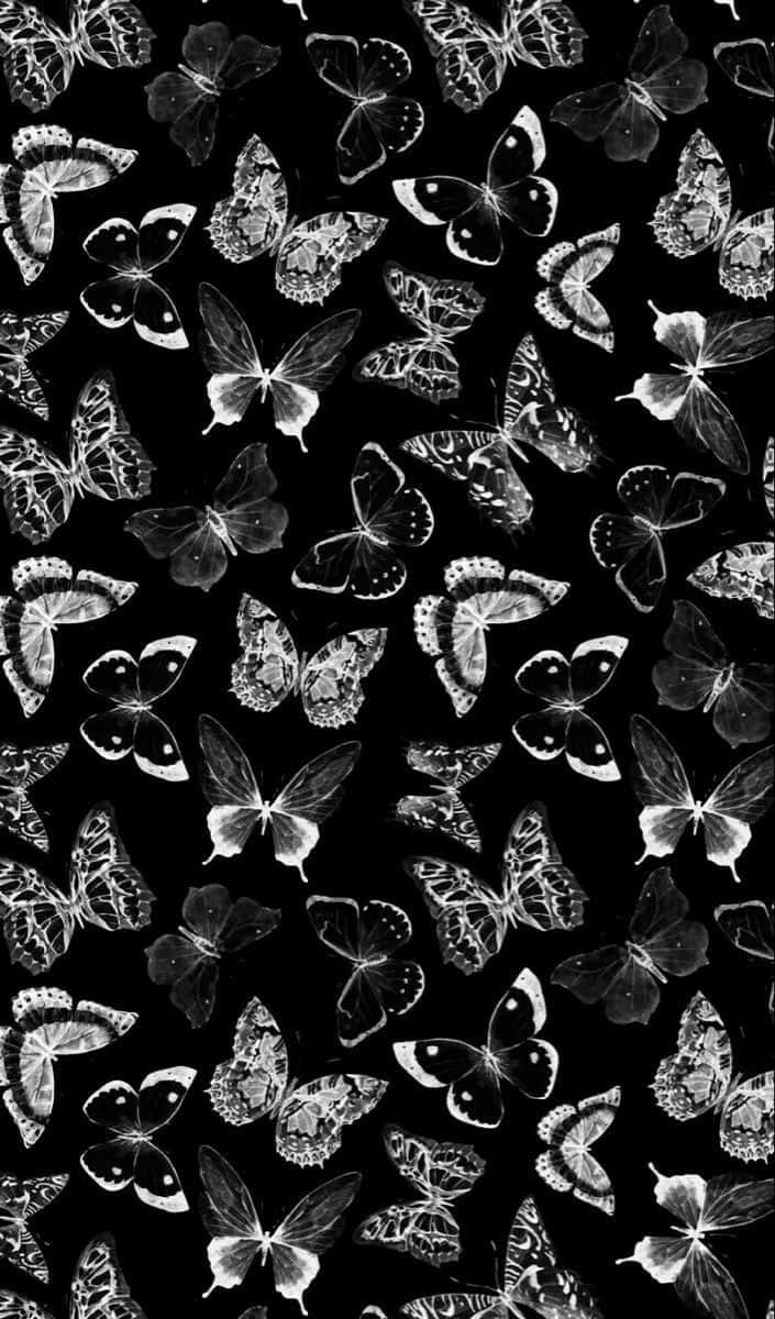 Monochrome Butterfly Pattern.jpg Wallpaper