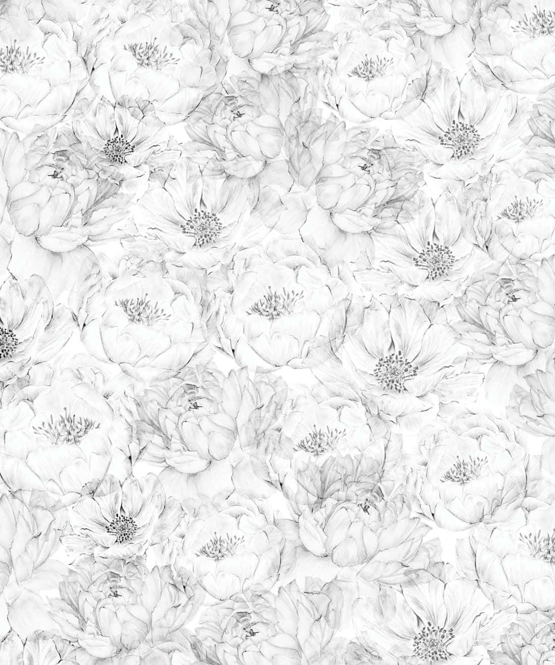 Monochrome Floral Pattern.jpg Wallpaper