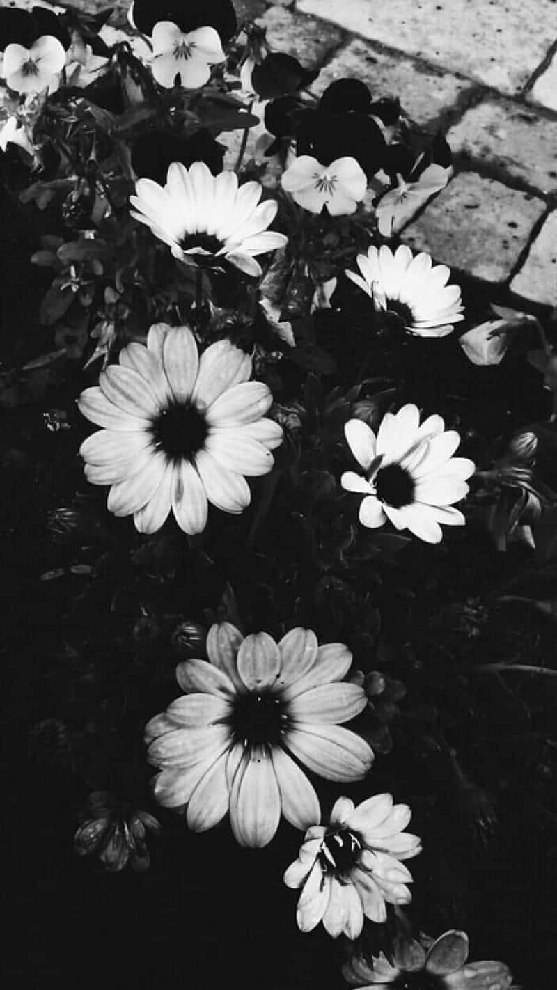 Monochrome Garden Blooms Wallpaper