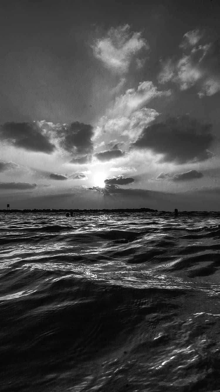 Monochrome Majesty Of The Ocean Wallpaper