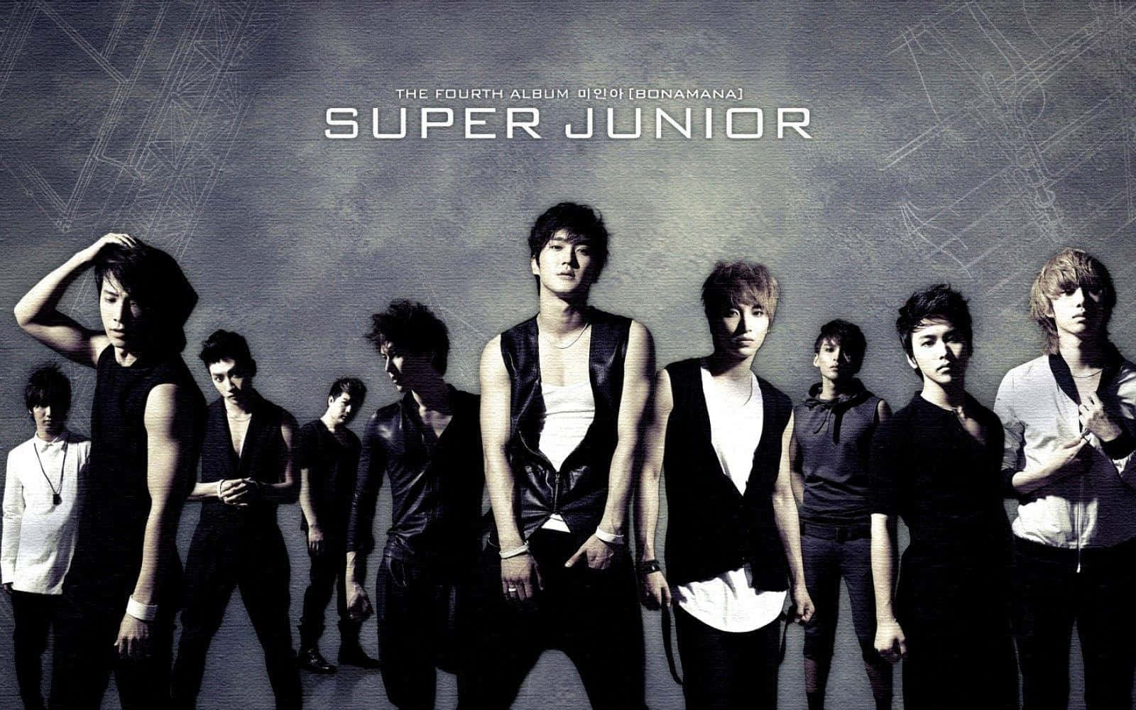 Monochrome Super Junior Wallpaper