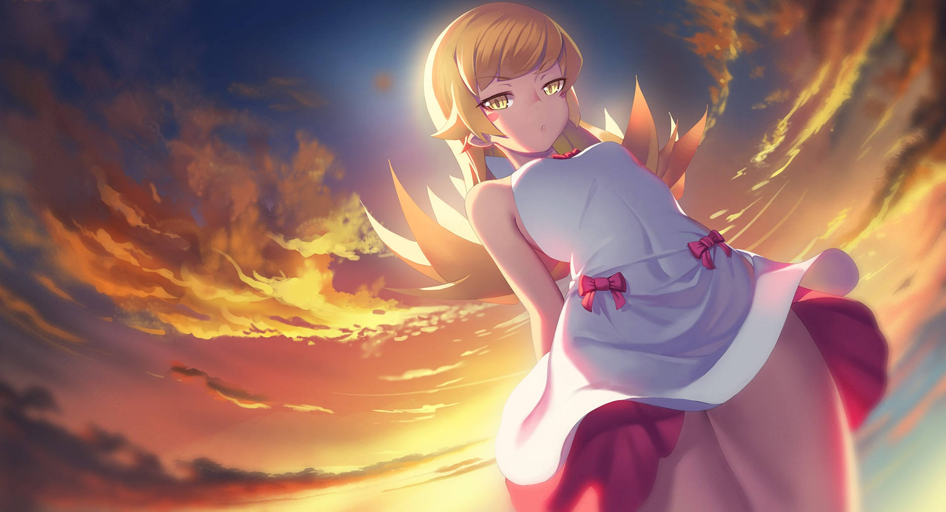 Monogatari Shinobu Sunset Wallpaper