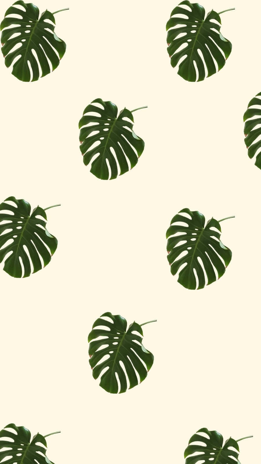 Monstera Leaves Pattern Soft Green Background Wallpaper