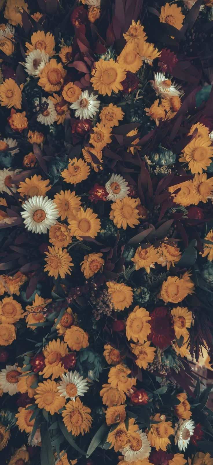 Moody_ Floral_ Abundance.jpg Wallpaper