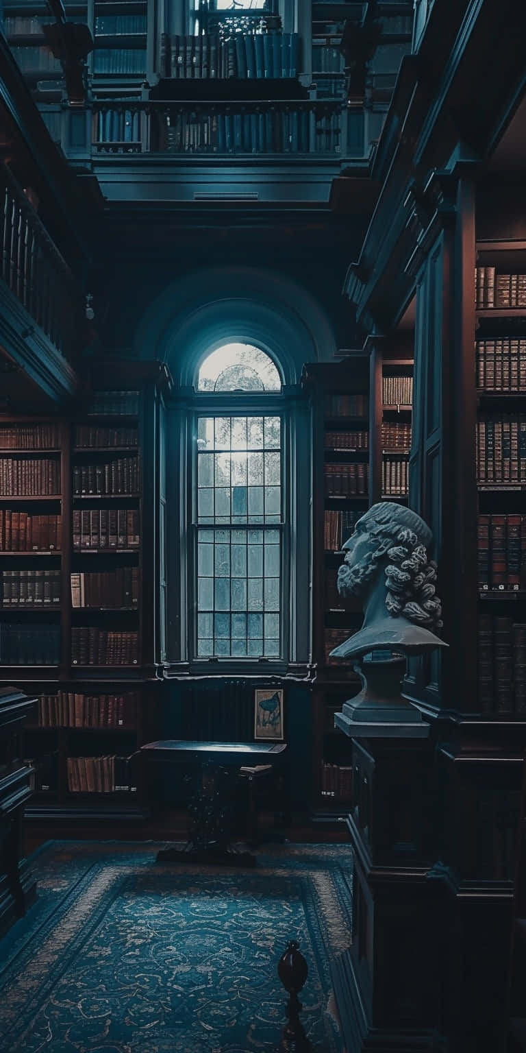 Moody Library Aesthetic.jpg Wallpaper