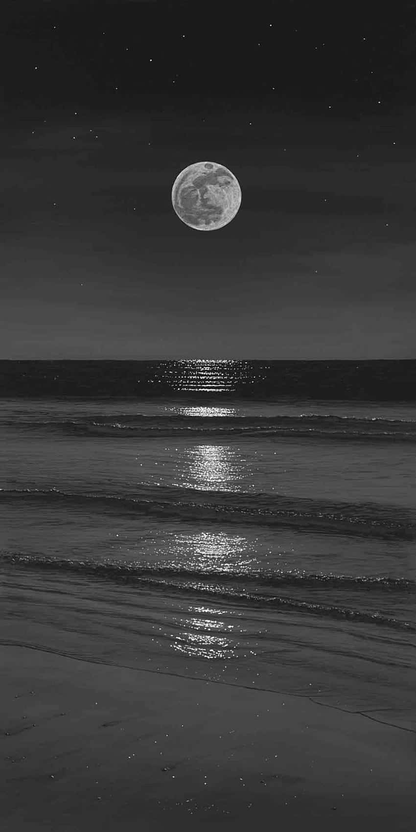 Moonlit Beach Noir Wallpaper