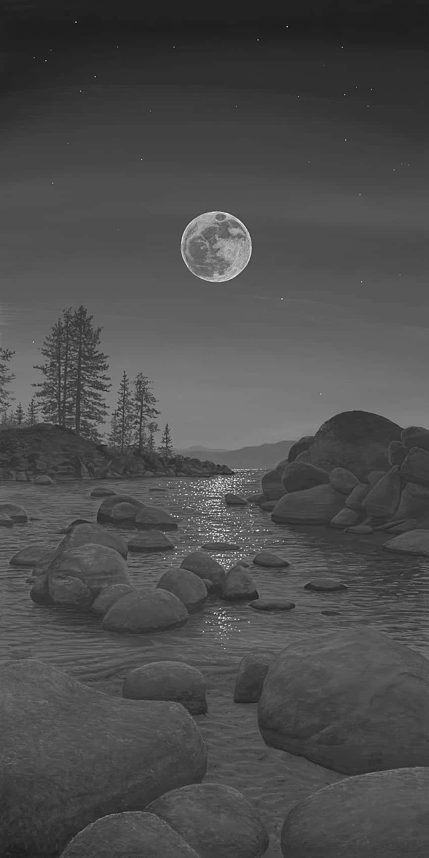 Moonlit Riverbed Night Scape Wallpaper