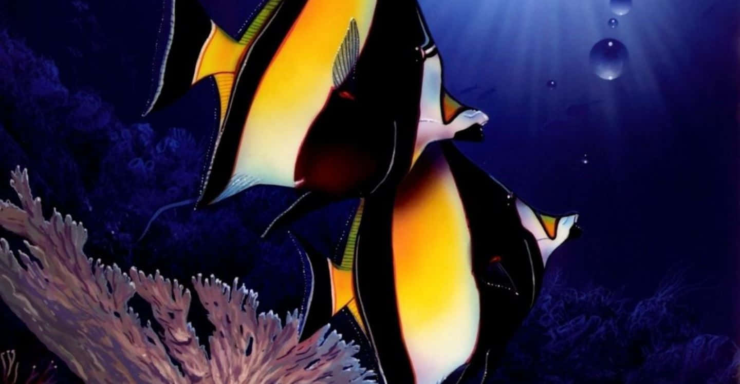 Moorish Idol Angelfish Underwater Scene Wallpaper