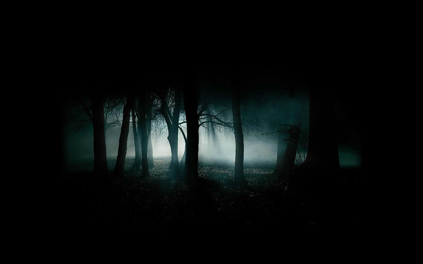 Morbid Forest Wallpaper