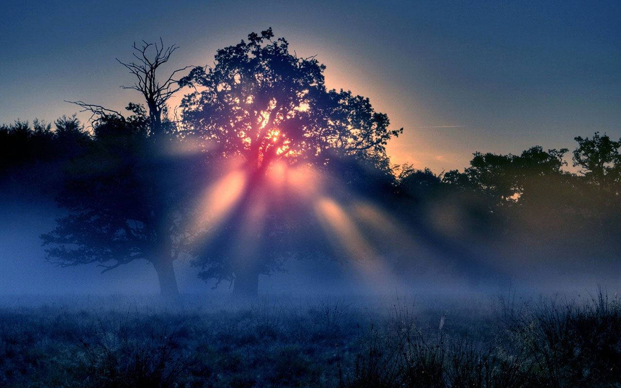 Morning Glory Sun Rays Wallpaper