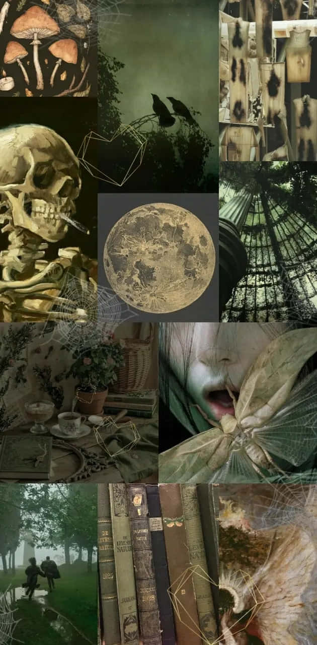 Moth Aesthetic Collage Dark Nature Wallpaper