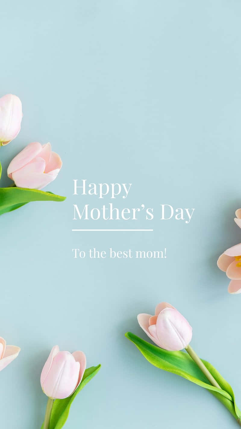 Mothers Day Tulips Greeting Wallpaper