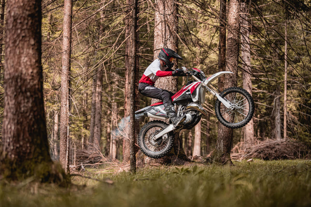 Motocross Forest Jump.jpg Wallpaper