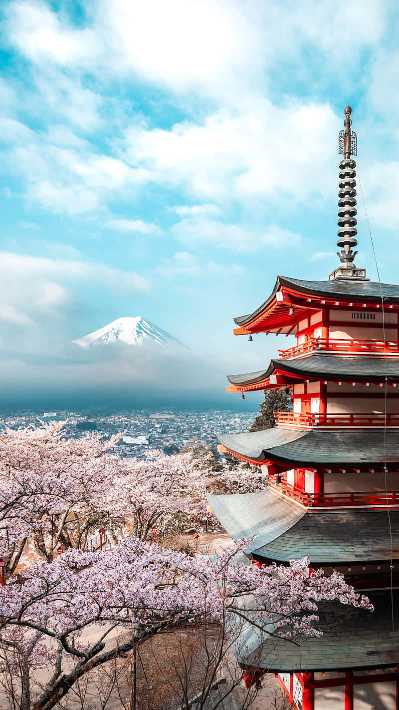 Mount Fuji Cherry Blossomsand Pagoda Wallpaper