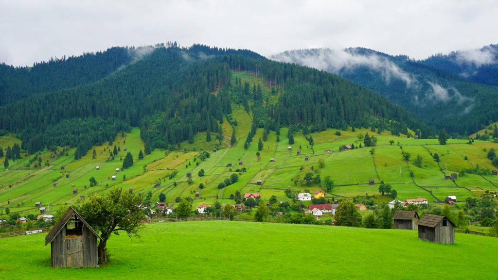 Mountain Borgo Pass Romania Wallpaper