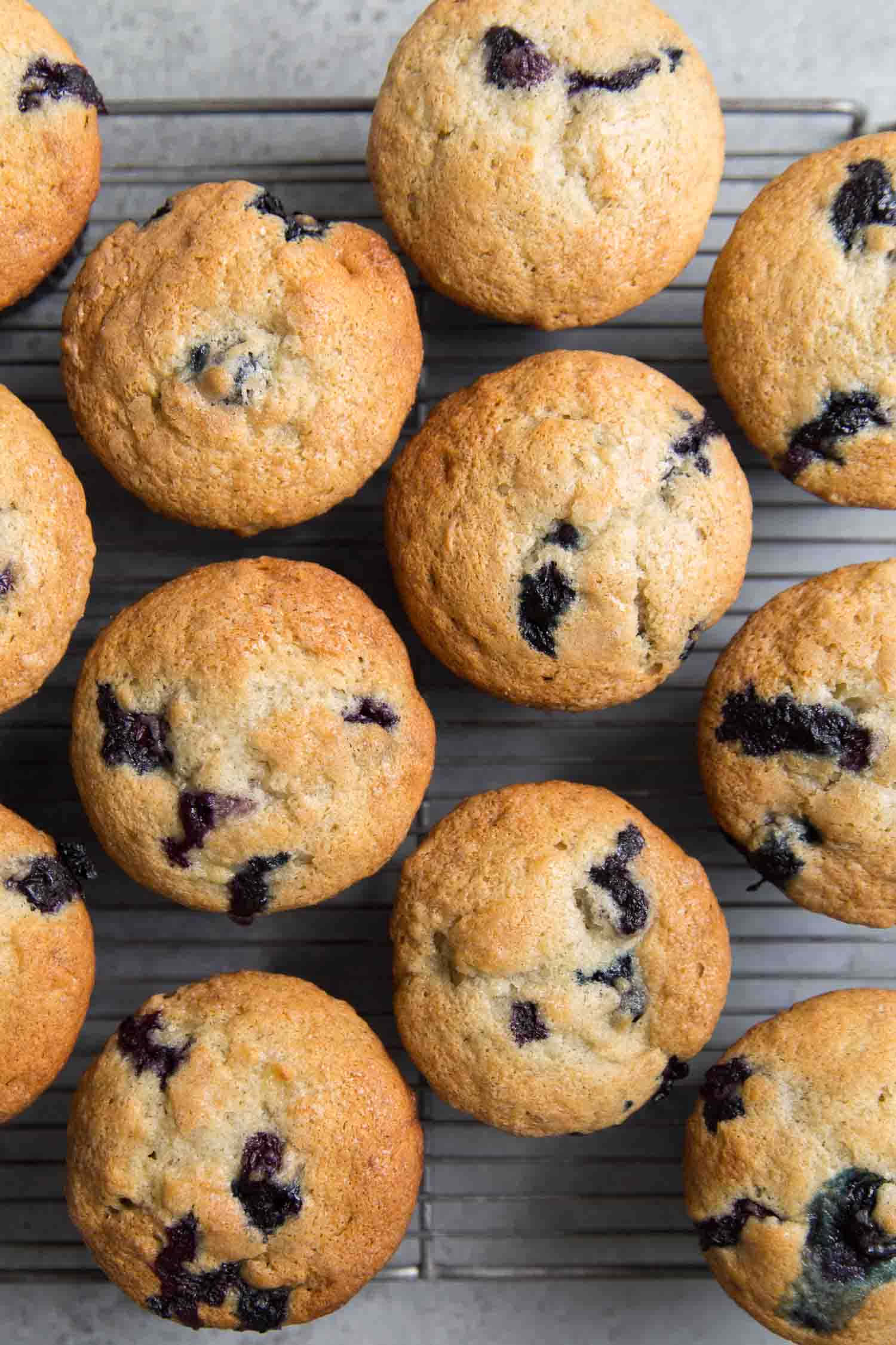 Mouthwatering Blueberry Muffins