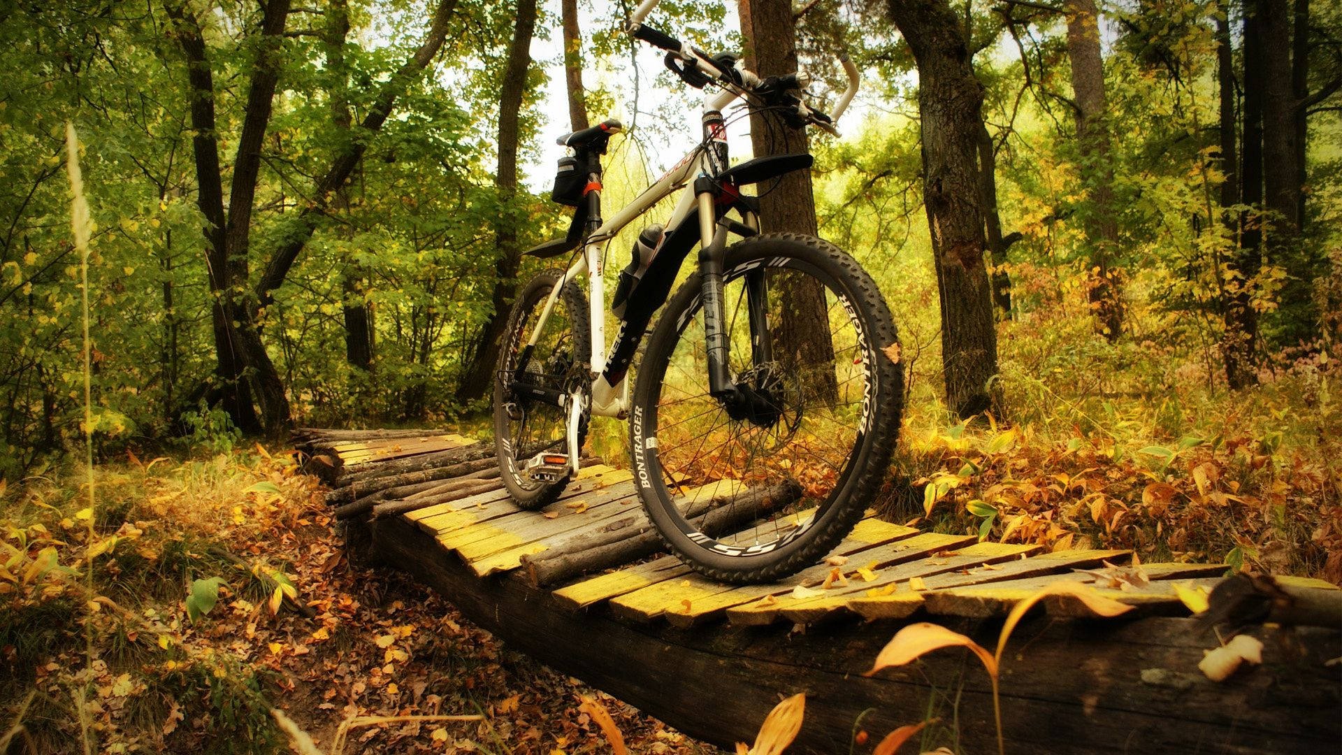 Mtb In Forest Wooden Bridge Wallpaper