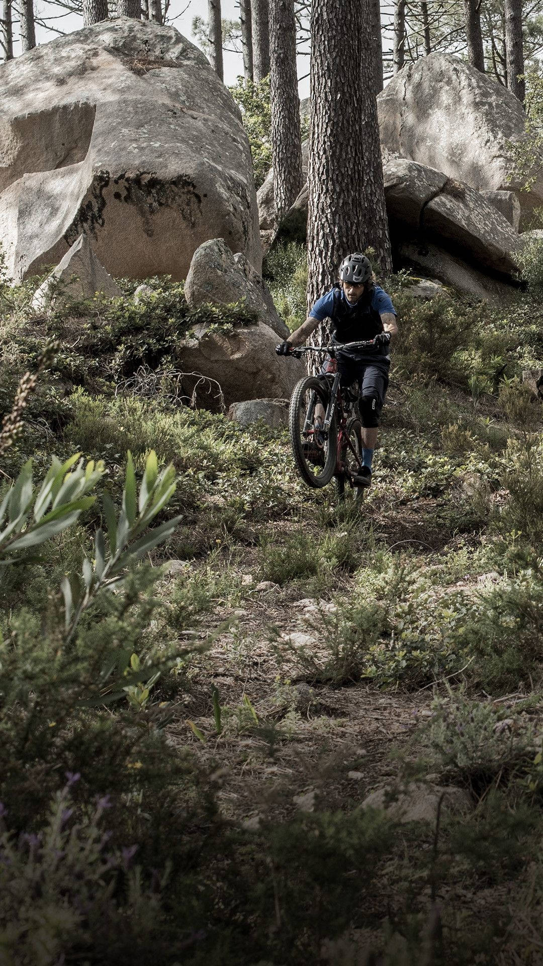 Mtb Rider In Green Forest Trail Wallpaper