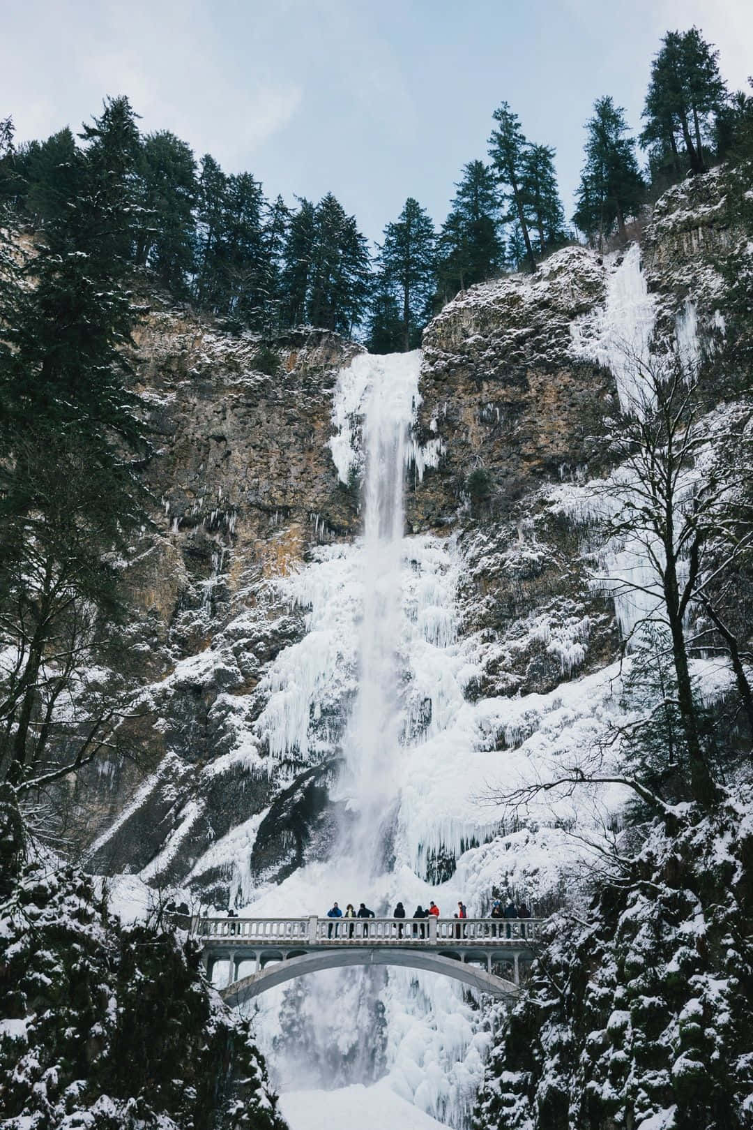 Multnomah Falls Long Shot Nature Aesthetic Phone Wallpaper