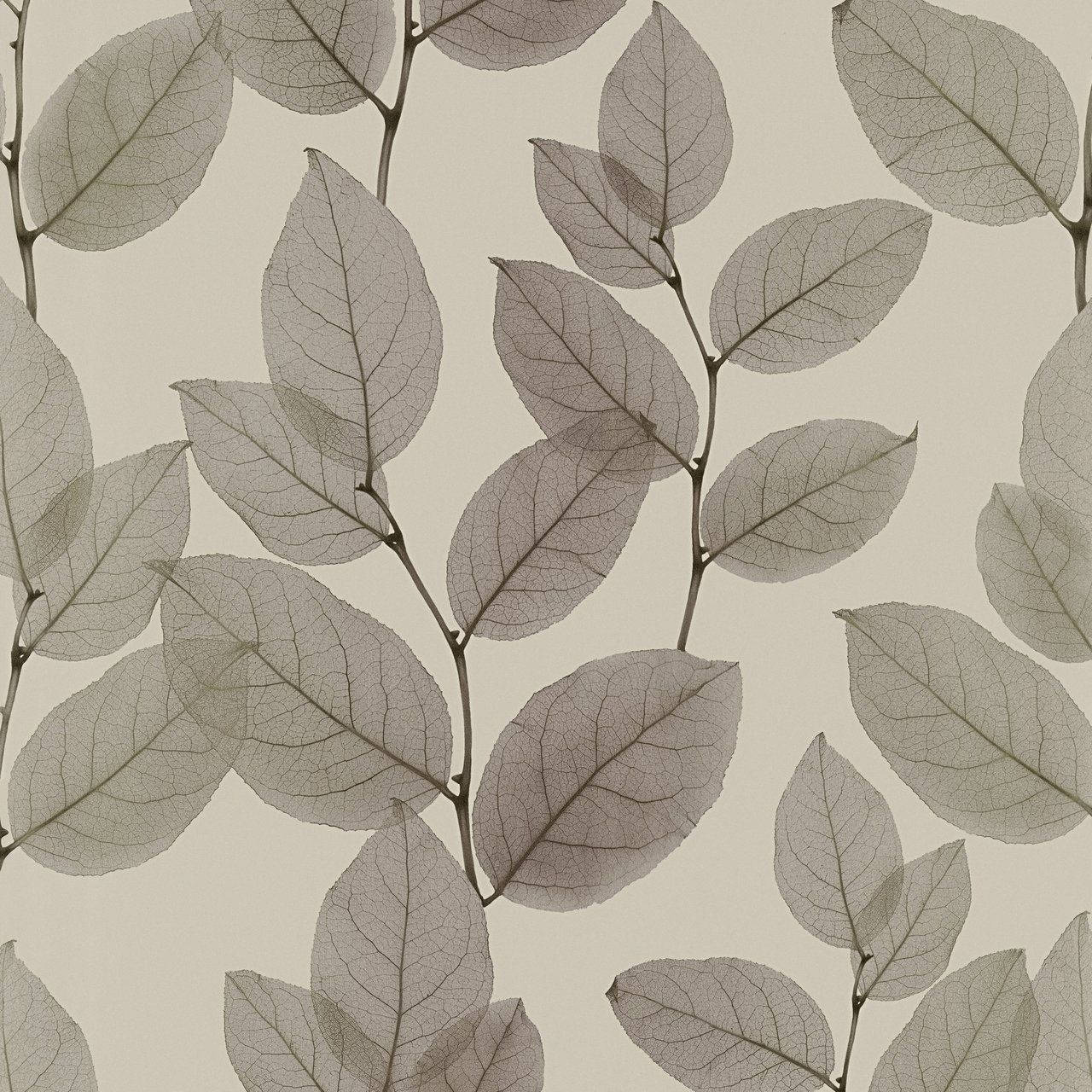 Muted Greyscale Leaf, The Perfect Backdrop For Any Surface. Wallpaper