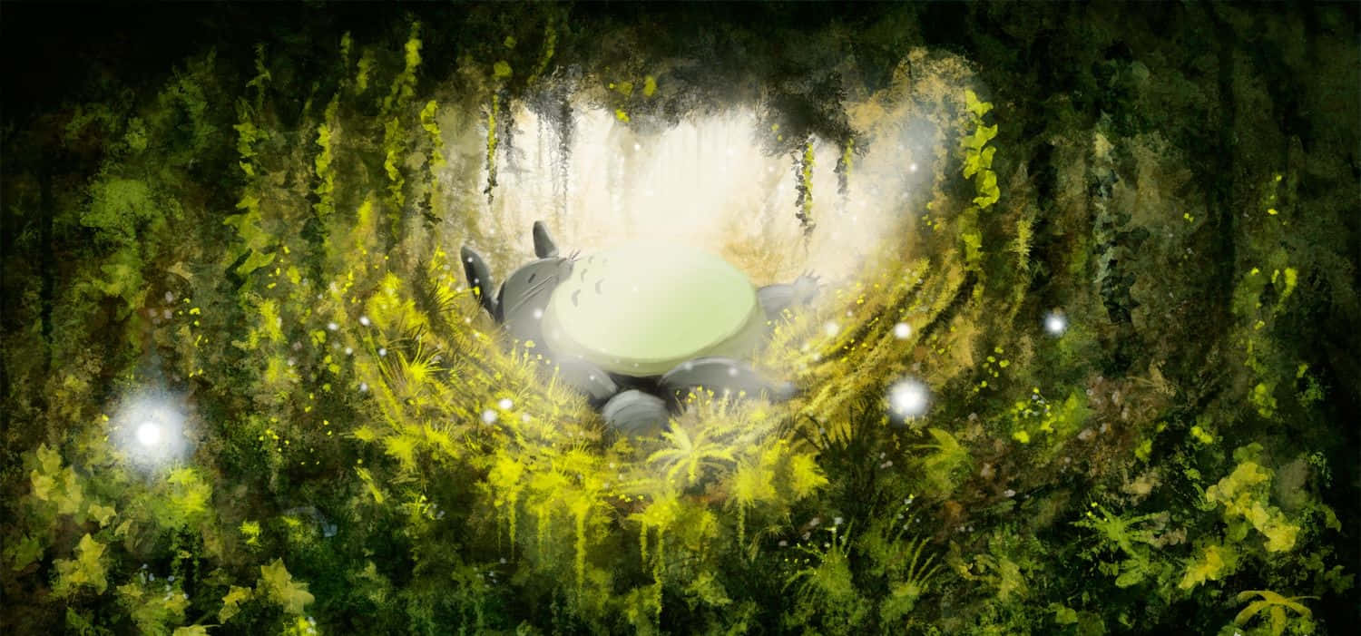 My Neighbor Totoro 1500 X 701 Wallpaper Wallpaper