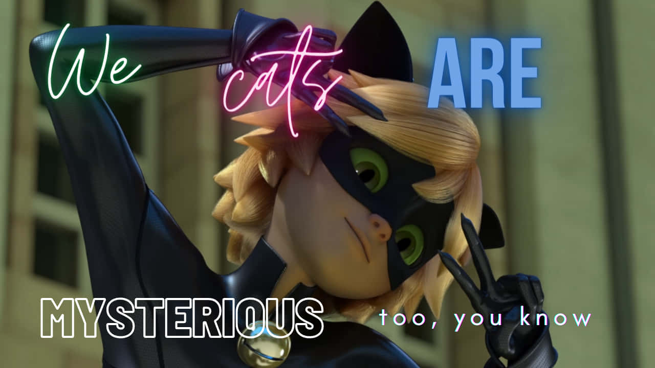 Mysterious Cute Cat Noir Pose Wallpaper