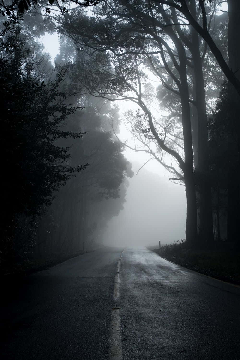 Mysterious Dark Road At Night Wallpaper