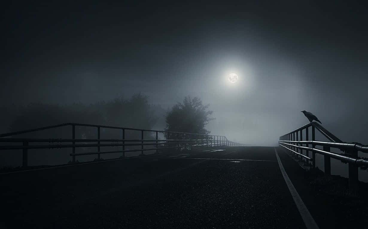 Mysterious Dark Road At Night Wallpaper