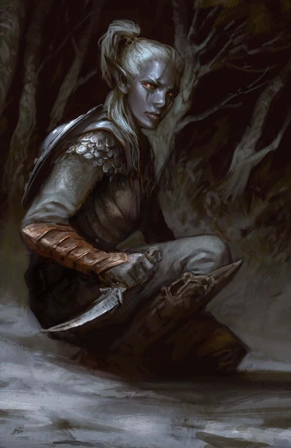 Mysterious Drow Ranger In The Shadows Wallpaper