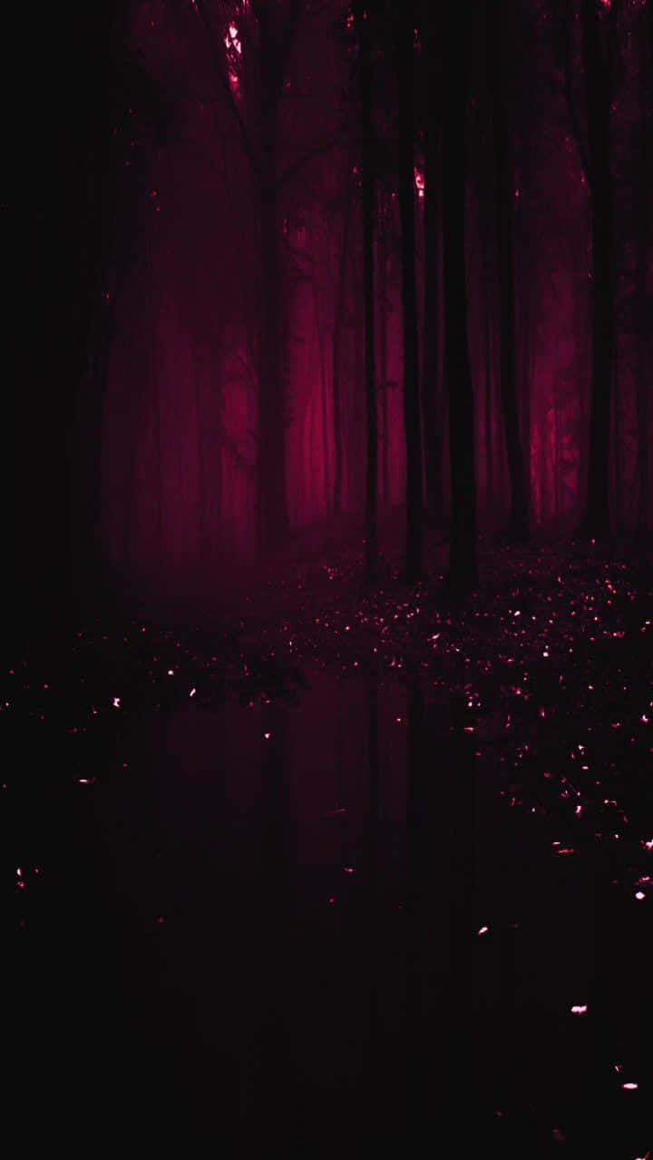 Mystical_ Magenta_ Forest_ Fog Wallpaper