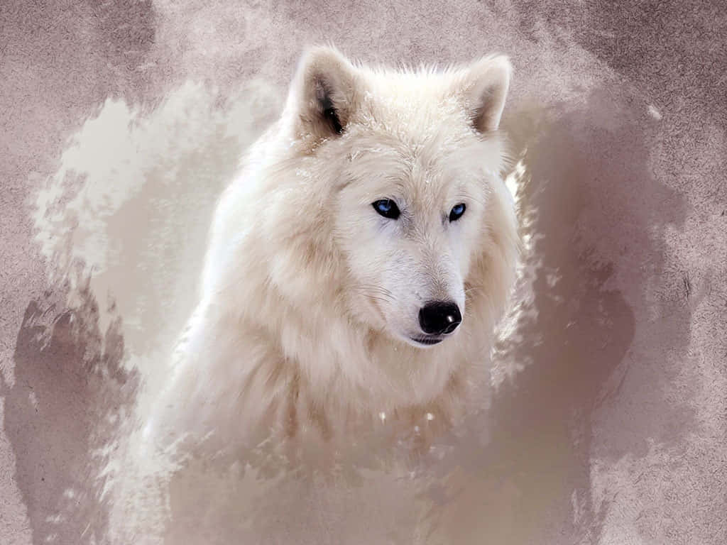 Mystical White Wolf Wallpaper