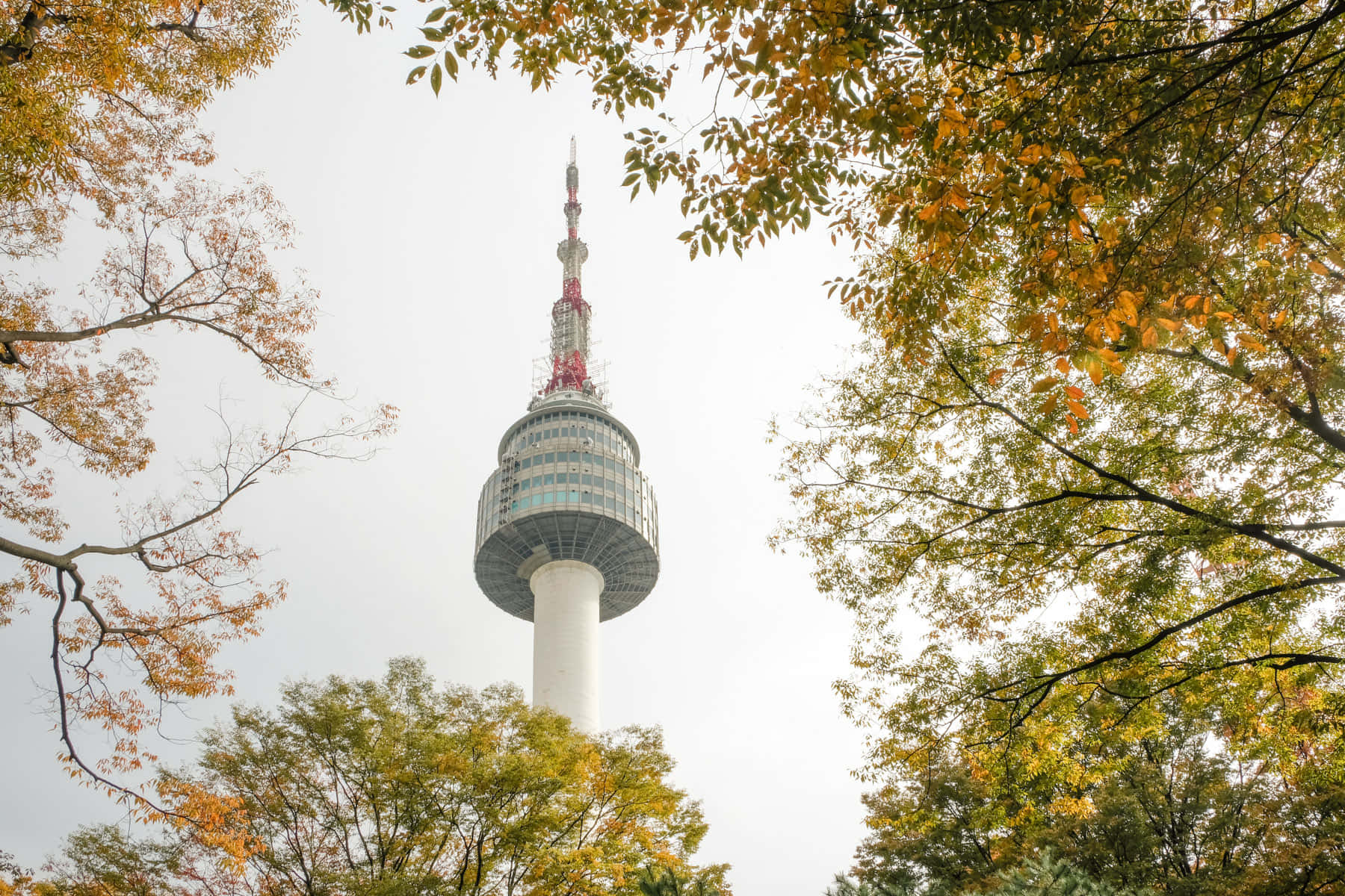 Namsan Seoul Tower Autumn View Wallpaper