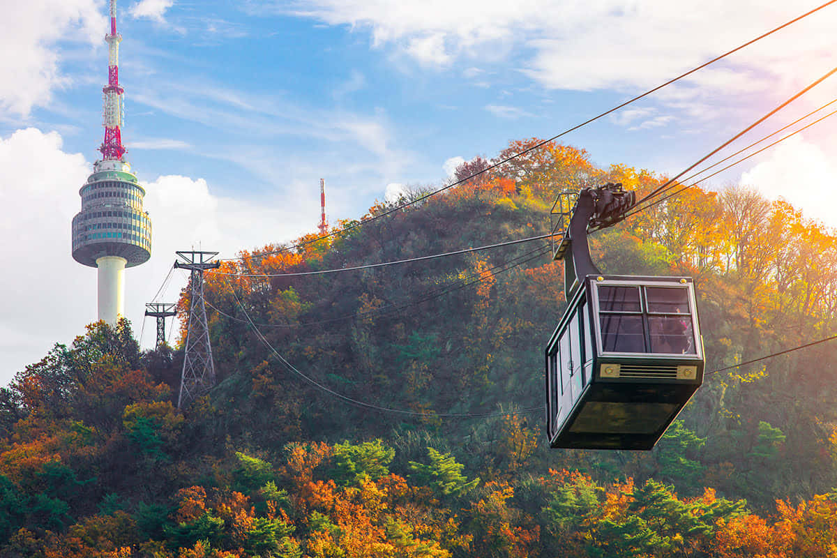 Namsan Seoul Tower Cable Car Autumn Wallpaper