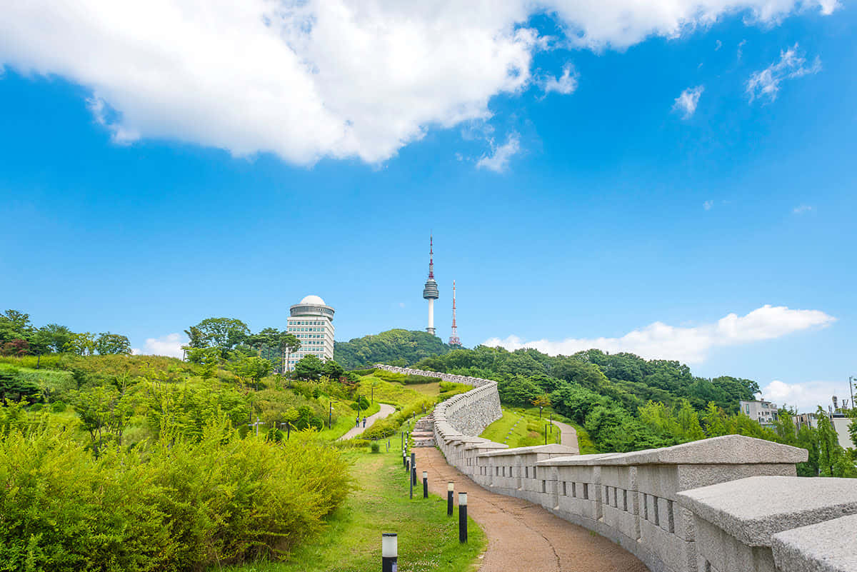 Namsan Seoul Tower Pathway Sunny Day Wallpaper