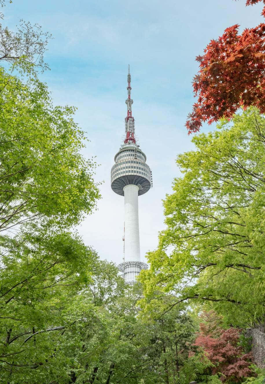 Namsan Seoul Tower Surroundedby Greenery Wallpaper