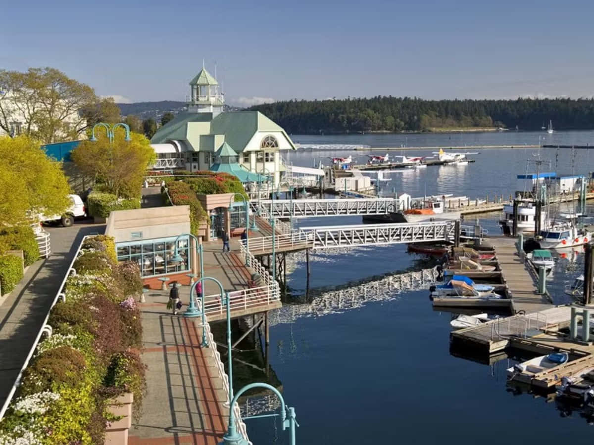 Nanaimo Harbourfront Walkway Marina View Wallpaper