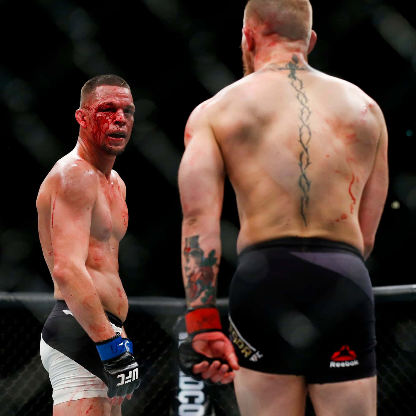 Nate Diaz Versus Conor Mcgregor Ufc 196 Wallpaper