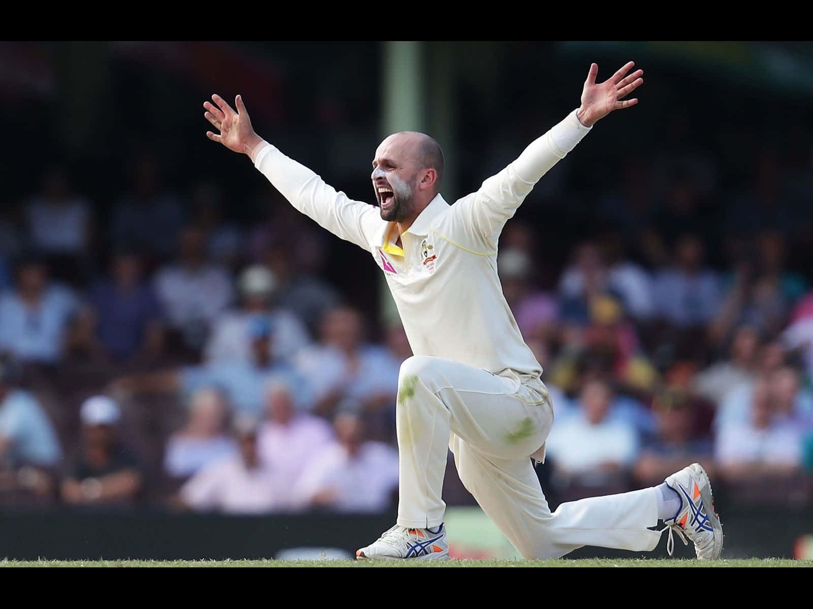 Nathan Lyon Wallpaper