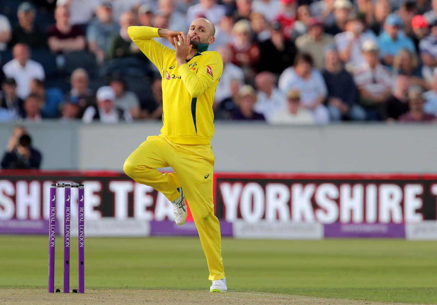 Nathan Lyon Wallpaper