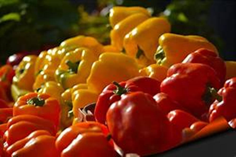 Natural Bell Pepper Fruits Variety Wallpaper