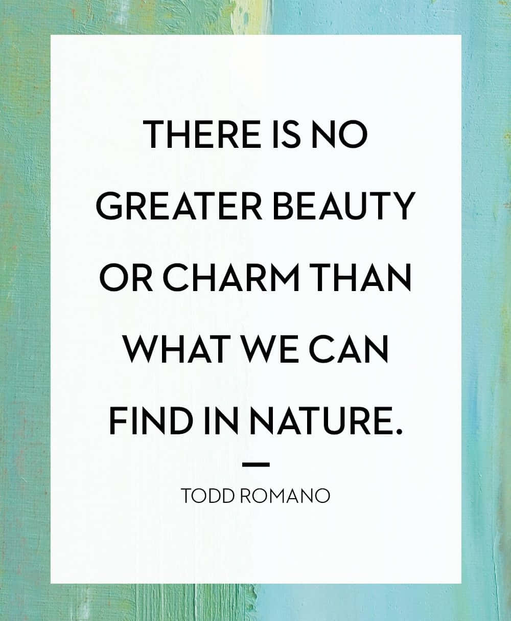 Nature Beauty Charm Quote Todd Romano Wallpaper