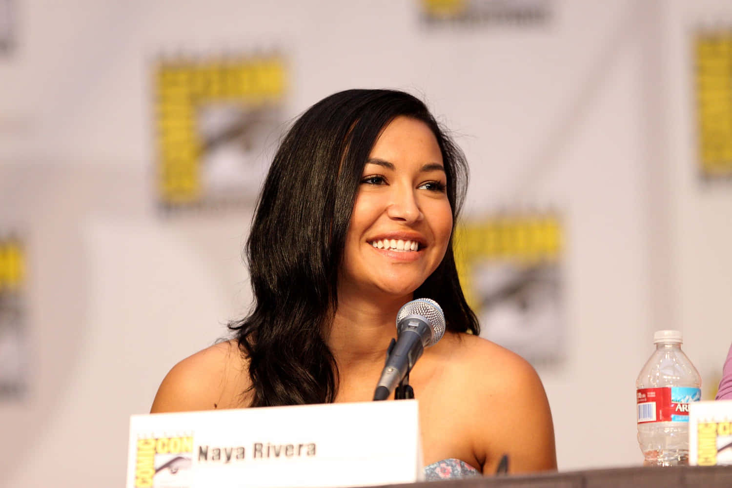 Naya Rivera Panel Discussion Wallpaper