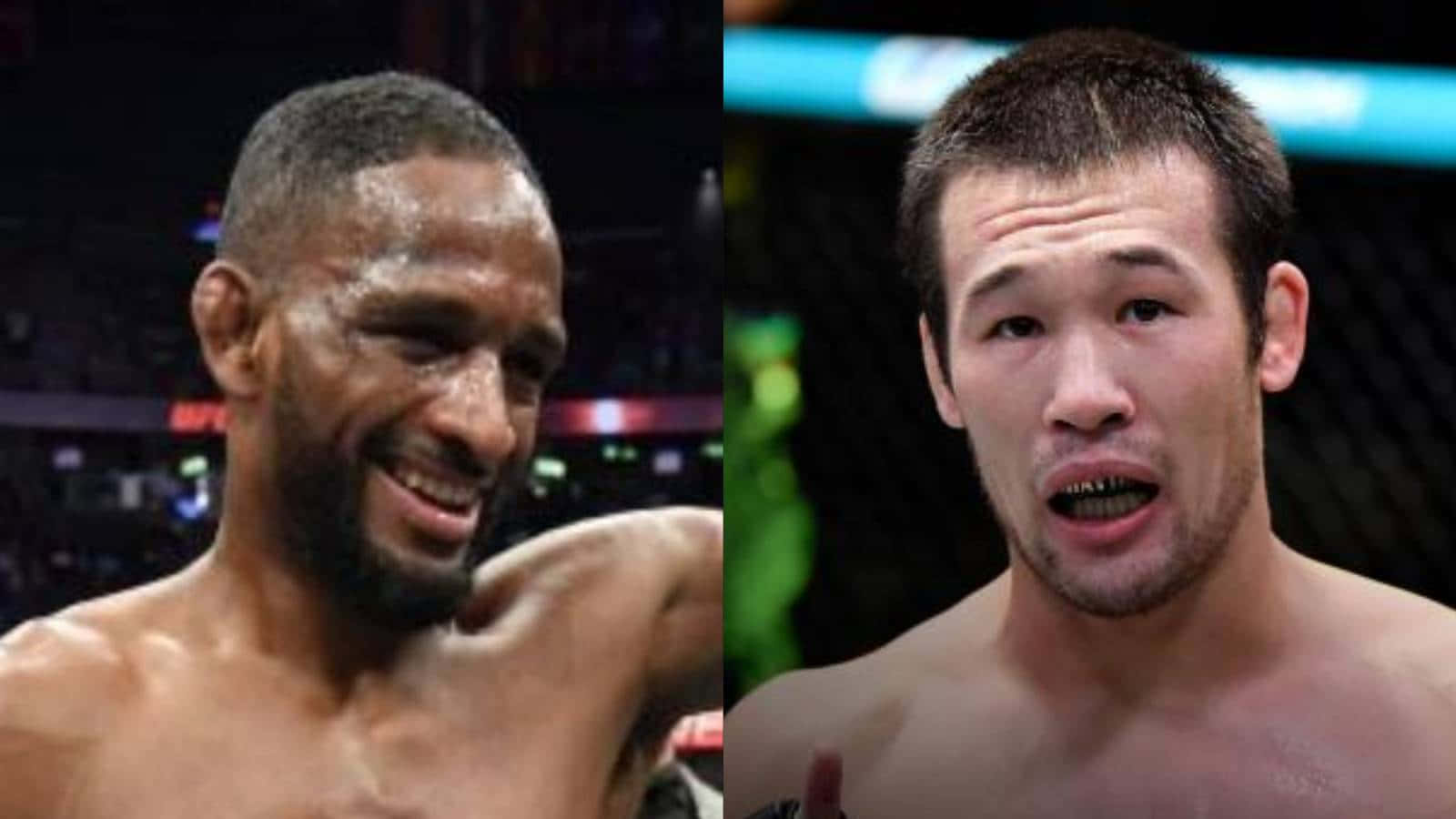 Neil Magny And Shavkat Wallpaper