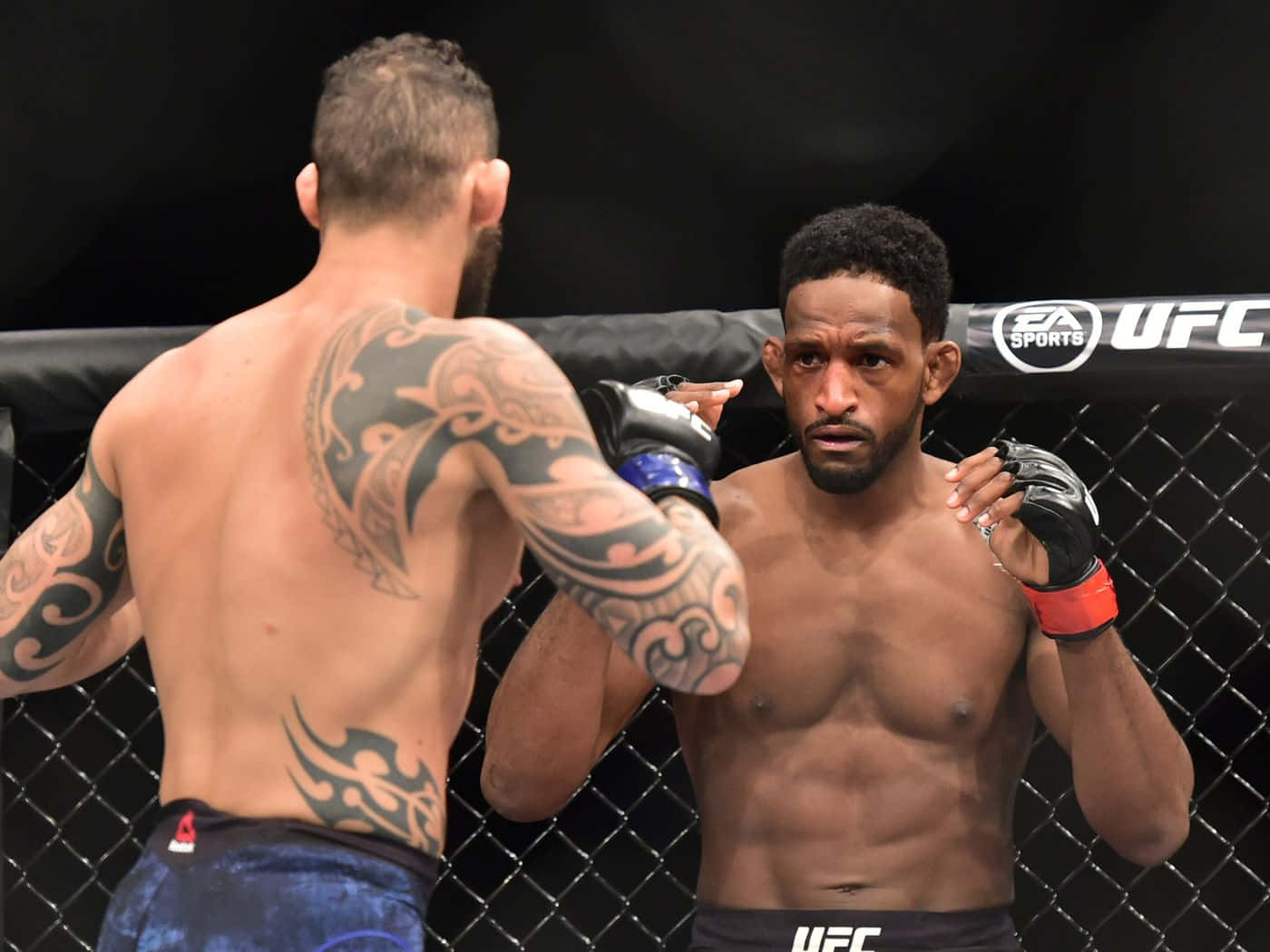 Neil Magny Fighter Wallpaper