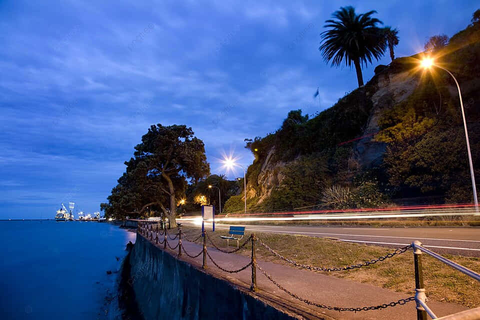 Nelson Waterfront Twilight Scene Wallpaper