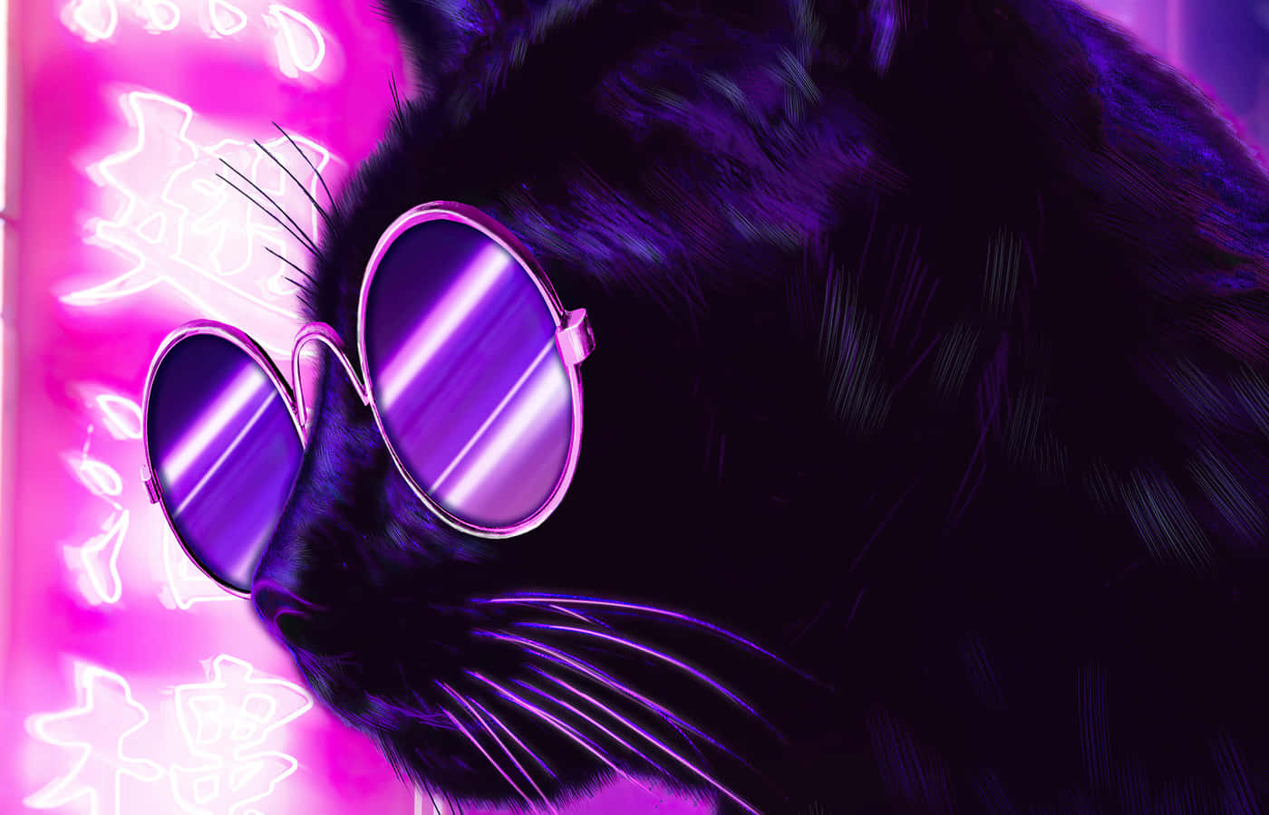 Neon Black Catwith Sunglasses Wallpaper